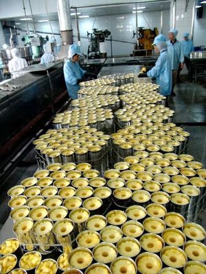 湛墾佳農| 給予您綠色湛江健康佳味